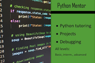 tutor python programming at any level
