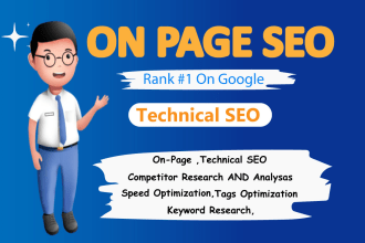 provide on page SEO and technical optimization for top ranking