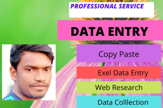 do fastest data entry, data collection, copy paste work