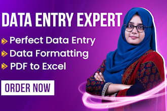 be your data entry, data mining, data formatting and pdf to excel expert