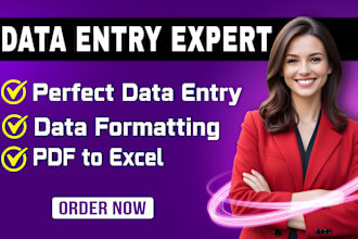 be your data entry, data mining, data formatting and pdf to excel expert