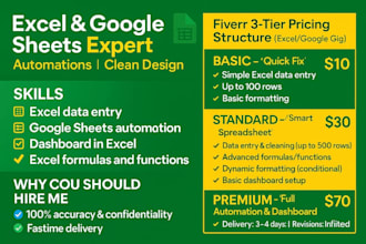 professional excel, google sheet, expert having with 4years of experience