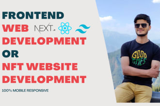 do frontend web development and create nft website or landing page