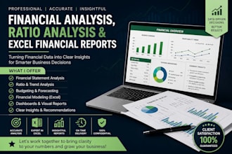 analyze financial data and create professional excel reports