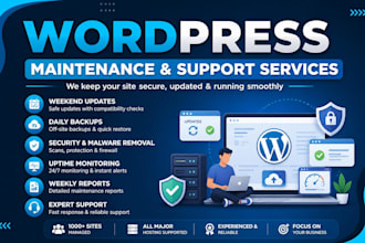 do wordpress website maintenance, website update and support