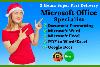 do microsoft word, and excel document formatting professionally within a 2 hours