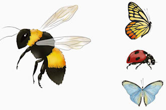 draw detailed watercolor insect illustrations