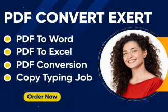 do convert pdf to word, pdf to excel conversion and copy typing job