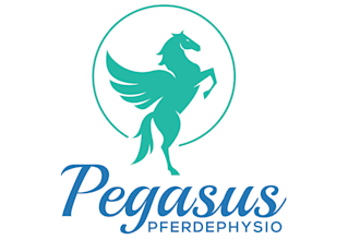 design a professional modern pegasus logo