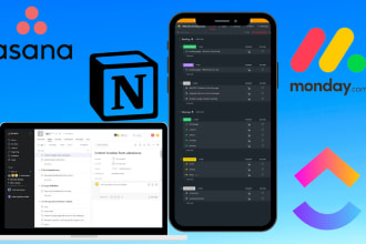 set up clickup, asana, monday, click up project management for you