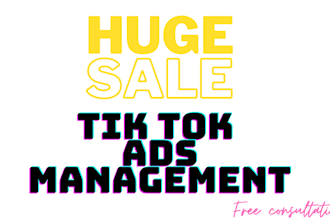 manage and run tiktoks ads setup for your business