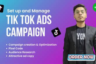 setup and manage profitable tik tok ads campaign