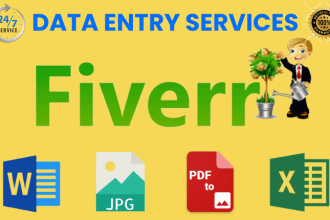 do data entry, copy paste, web research, data collection, excel data entry job