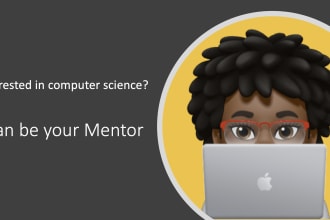 provide high school mentorship