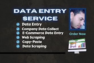 do sparkling data entry, copy paste, web research