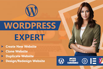 create a professional wordpress website design