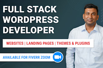 wordpress developer for website design, plugin customization, speed optimization