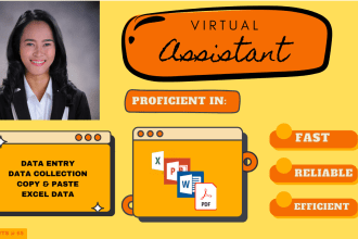 do accurate data entry and data verification for you