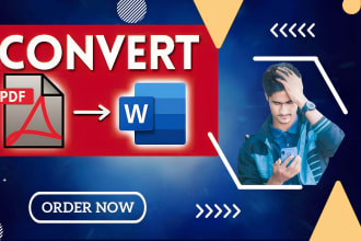 convert pdf to word, pdf to excel, copy paste and data entry