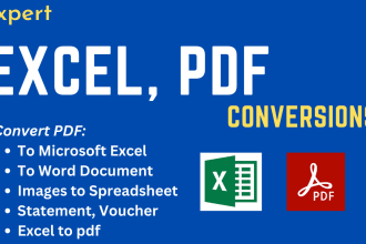 your microsoft excel expert, convert PDF to excel, formatting