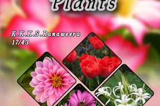 create cover page design for reports assignments and e book