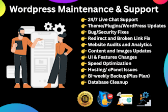 maintain, secure, optimize your wordpress website for top performance