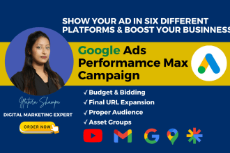 setup and audit profitable performance max campaign in google ads