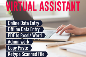 be your virtual assistant for data entry, copy paste, web research