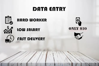 do data entry and formatting in excel, word, and powerpoint presentations