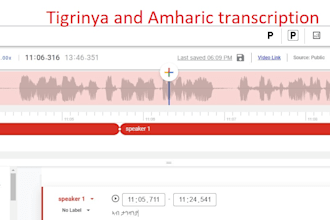 transcribe audio or video in tigrinya and amharic to english