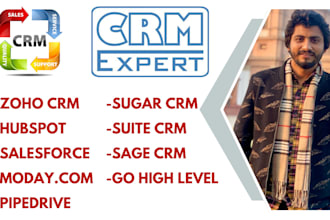 provide any CRM development, customization and consultancy