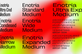 design a professional one weight sans font for your branding