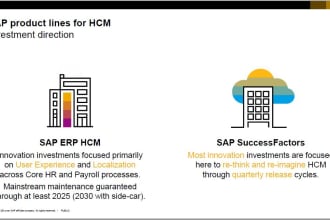 sap related all technical and functional work for sap hcm  sap successfactor