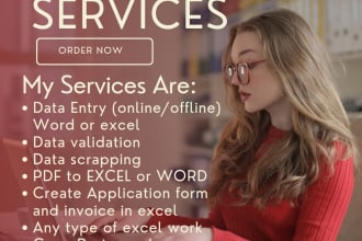 data entry typing create application form and invoice in excel