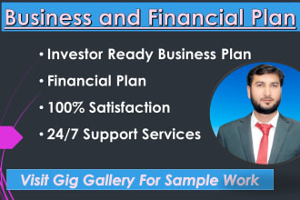 prepare investor ready business plan and financial plan