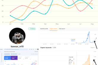 do an SEO audit for recent google algorithm update and recover them