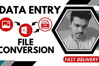 do excellent data entry and file conversion