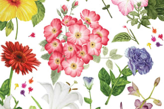 create  a line art illustration botanical and flower beautifully