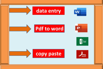 data entry excel data  ms word convert pdf to word for you