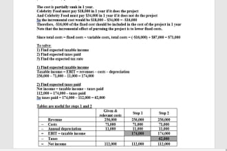 write finance and economics project reports