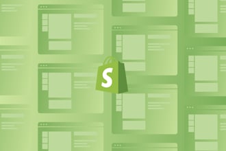 fix any shopify bugs or issues