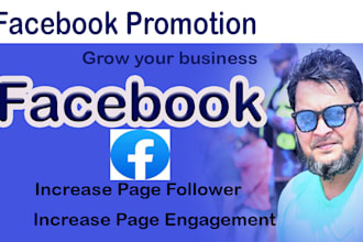 do organic facebook marketing and group promotion