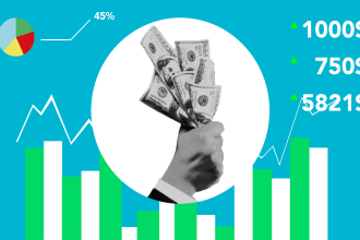 assist you for calculate profit, earnings, and cgss