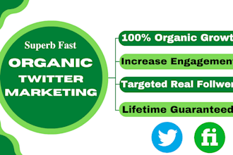 do fast organic twitter growth and promotion