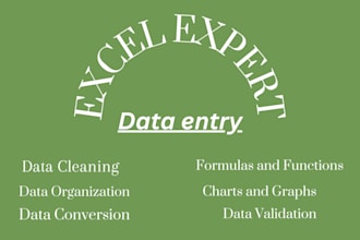 do data entry in microsoft excel
