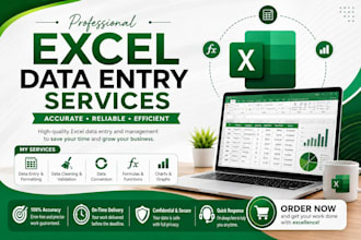 do data entry in microsoft excel
