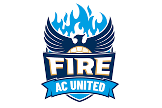 design awesome phoenix sports logo for your business