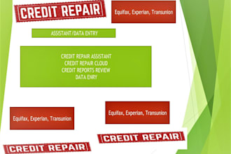 do credit reports data entry