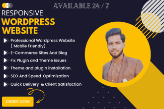 design and develop a fully responsive wordpress website, blog and store