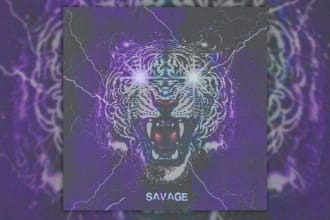 design custom artwork for your music in 24h